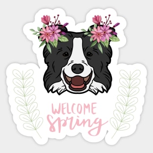 Welcome Spring with Border Collie Dog Head with Flowers Sticker